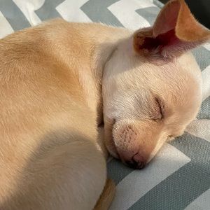 Meet your Posher, Beverly